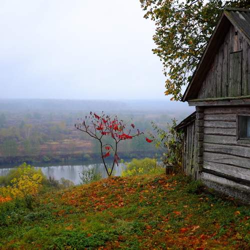 Photo #11146425