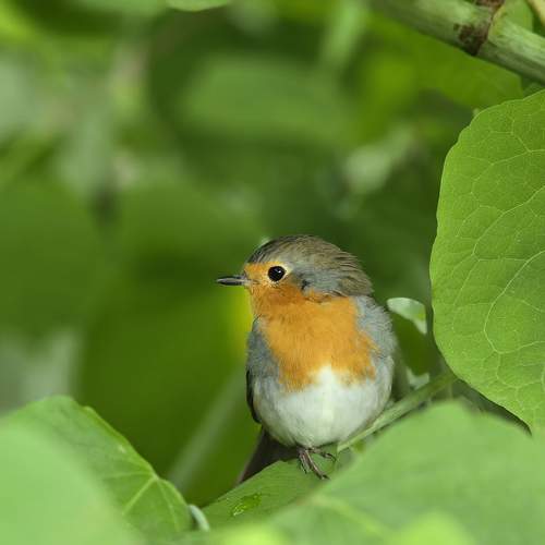 Photo #11146426
