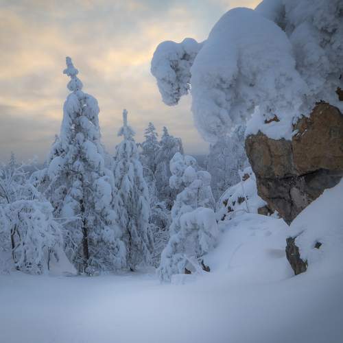 Фотография #11146914