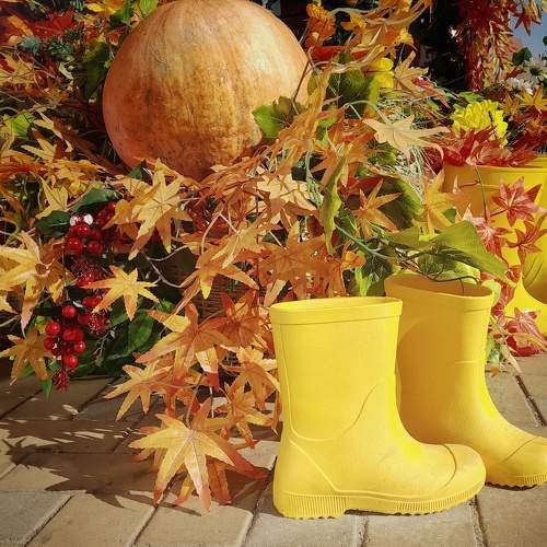 Photo #11147068
