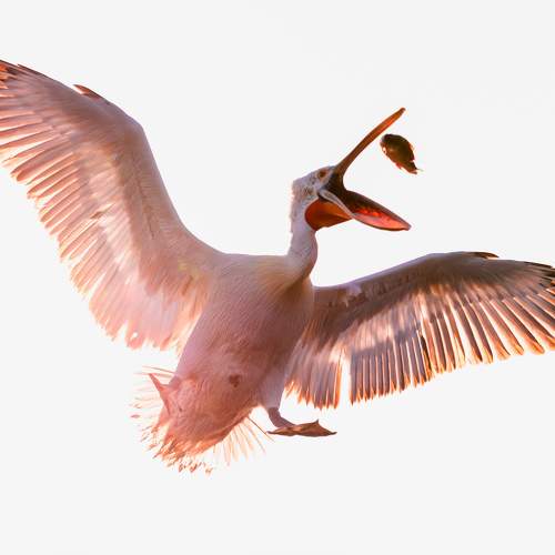 Фотография #11147361