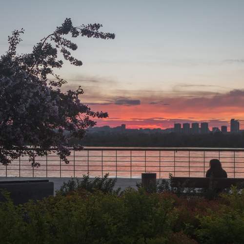 Фотография #11147729