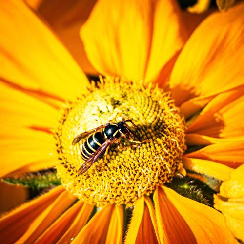 Photo #11147869