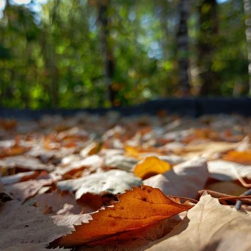 Photo #11148099