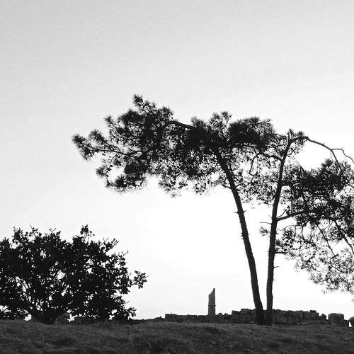 Photo #11148183