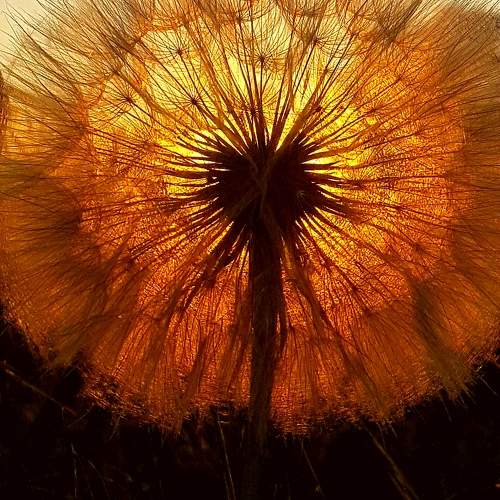 Photo #11148195