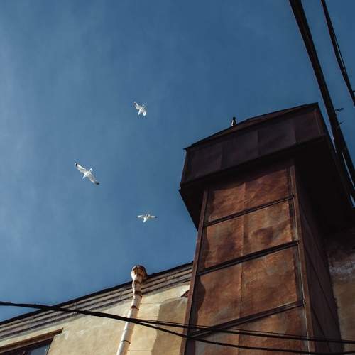 Photo #11148309