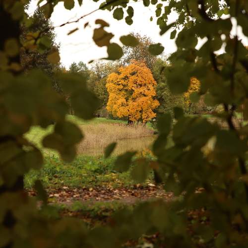 Photo #11148448