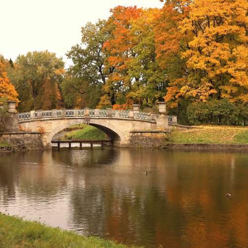 Photo #11148462