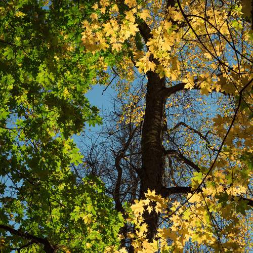 Photo #11148603