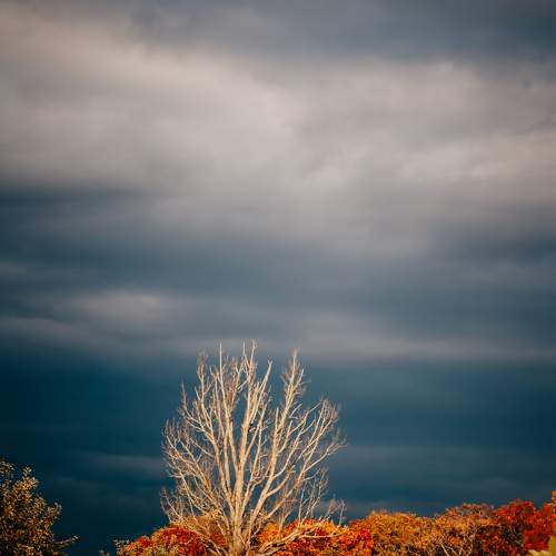 Photo #11148605
