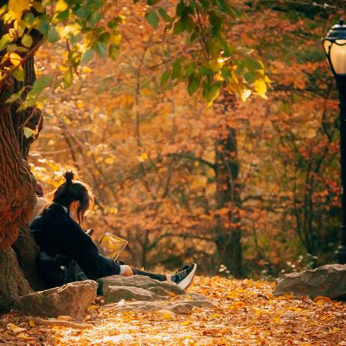 Photo #11148607