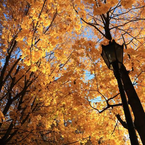Photo #11148616