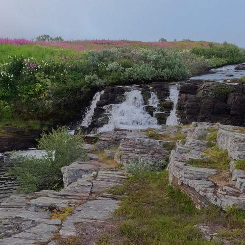 Photo #11148658