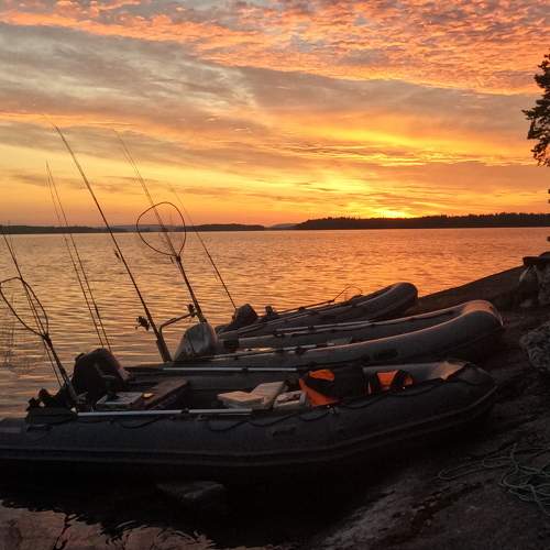Photo #11148661