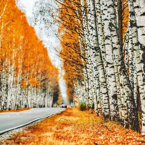 Photo #11148743