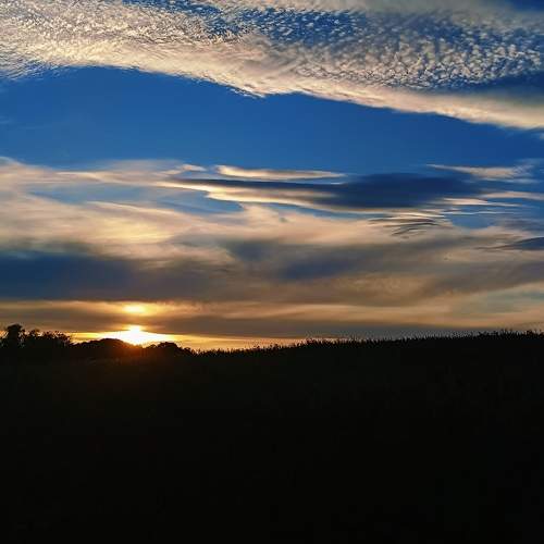 Photo #11148868