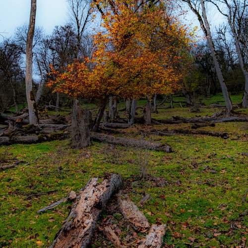 Photo #11149063