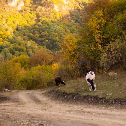 Photo #11149203
