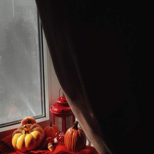 Photo #11149234