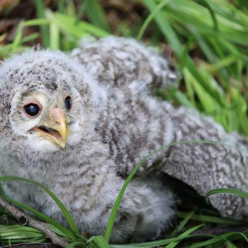 Photo #11149352
