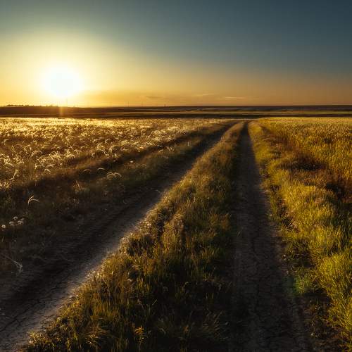 Фотография #11149536