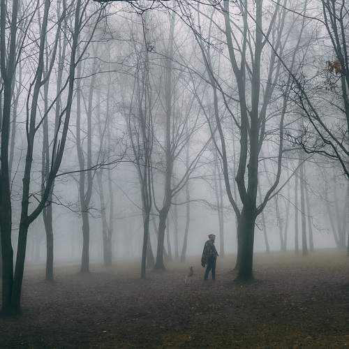 Photo #11149732