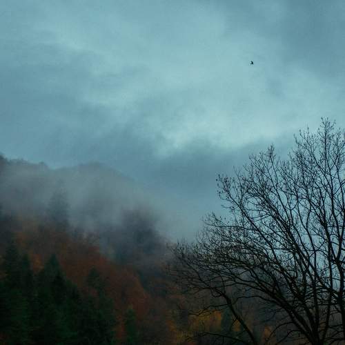 Photo #11149736
