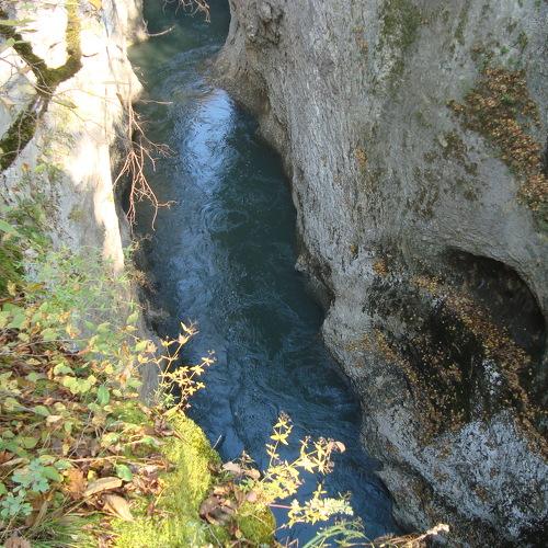 Photo #1118476