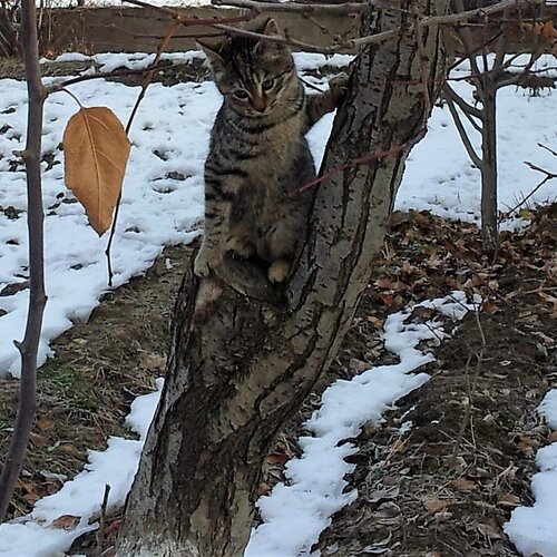 Photo #1119239