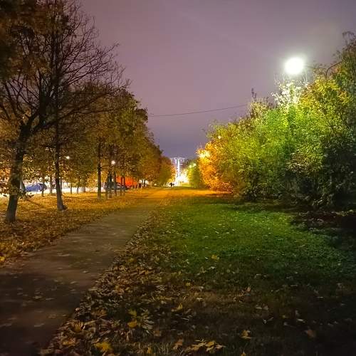 Photo #11150135