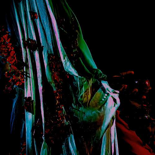 Photo #11150180