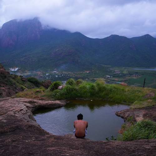 Photo #11150288