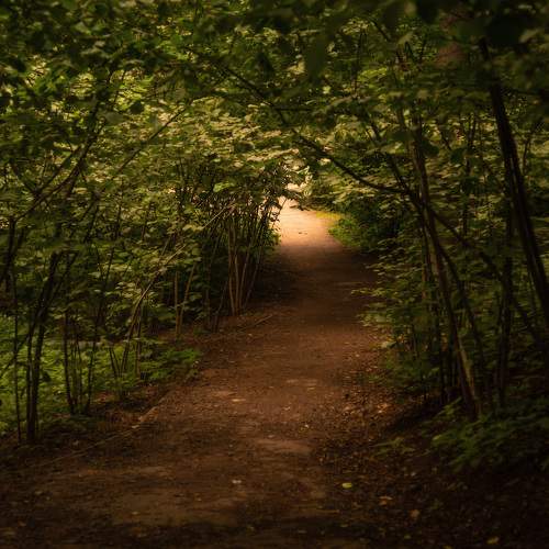 Photo #11150630