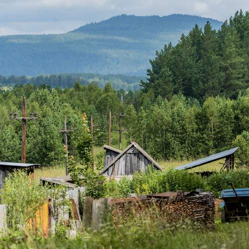 Photo #11150674
