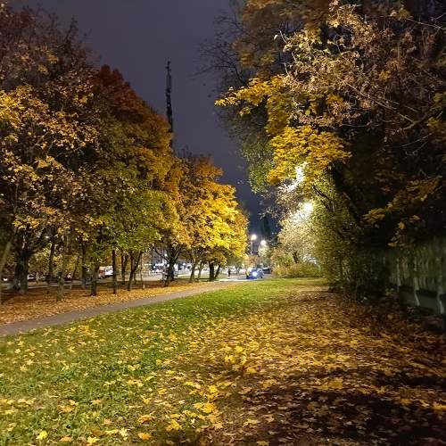 Photo #11150887