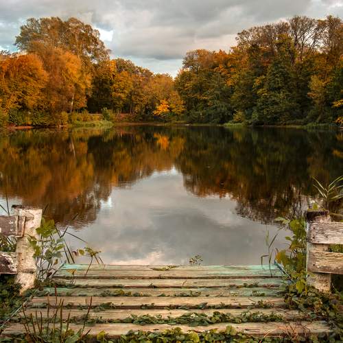 Фотография #11150922