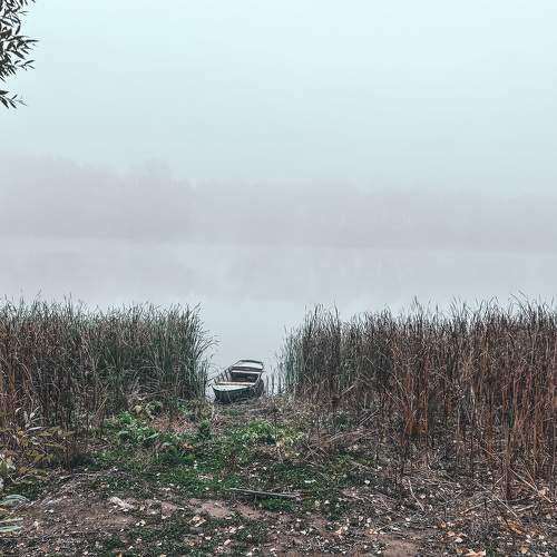 Photo #11150964