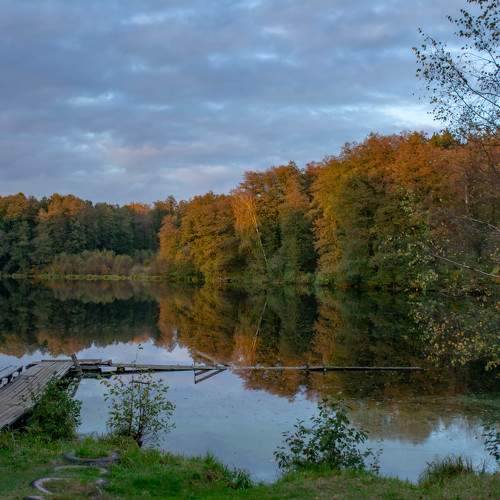 Photo #11150999