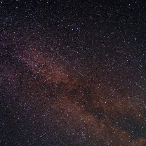 Photo #11151045