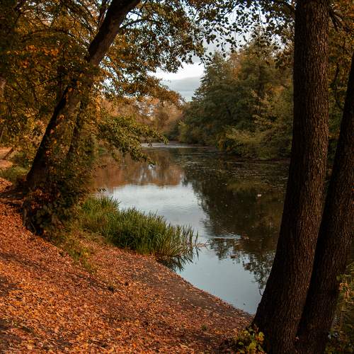 Фотография #11151105