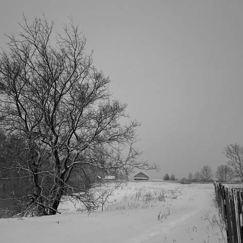 Photo #11151998