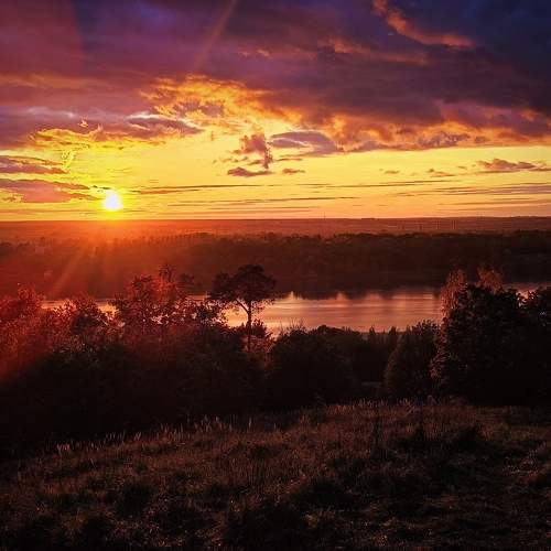 Photo #11152056