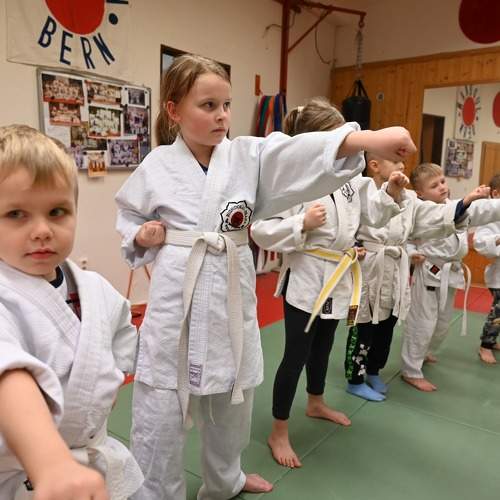 Photo #11152458