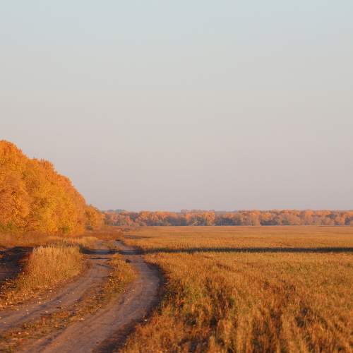 Photo #11152953