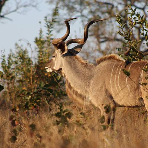 Photo #11153319