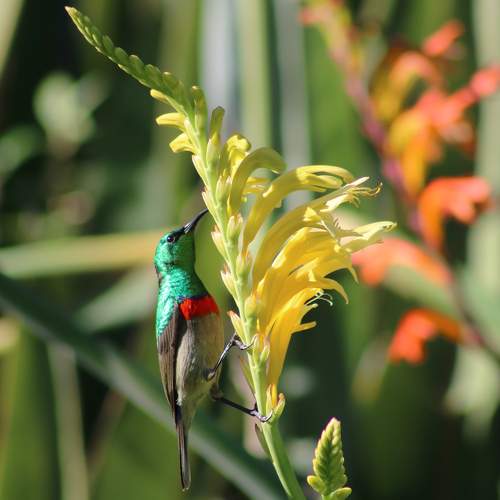 Photo #11153367
