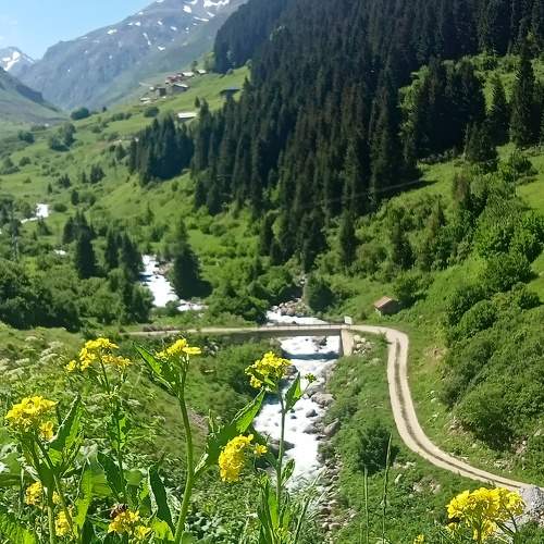 Photo #11153545