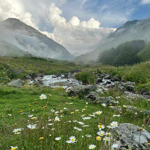 Photo #11153579