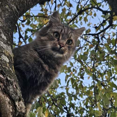 Photo #11153602